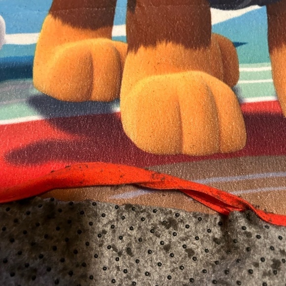 Paw Patrol Rug - Picture 4 of 11